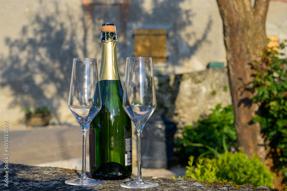Tasting of premier cru sparkling white wine with bubbles champagne with view on old houses of Hautvillers, where lived Benedictine monk how developed champagne wine, France. Tasting of premier cru sparkling white wine with bubbles champagne with view on old houses of Hautvillers, where lived Benedictine monk how developed champagne wine, France.