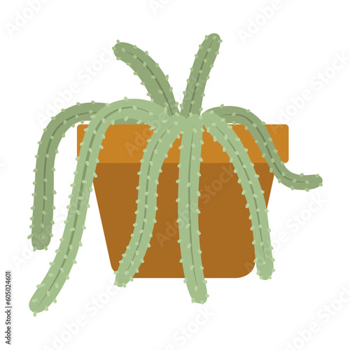succulent house plants logo design inspiration