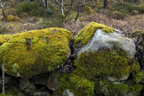 Loch Ranghoch Pitlochry Scotland. Rocks with moss. Tummel river.