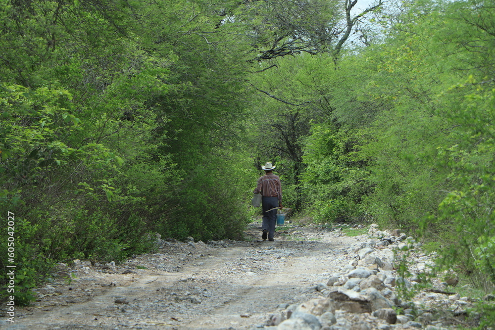 Campesino caminando por sendero Campesino caminando por sendero