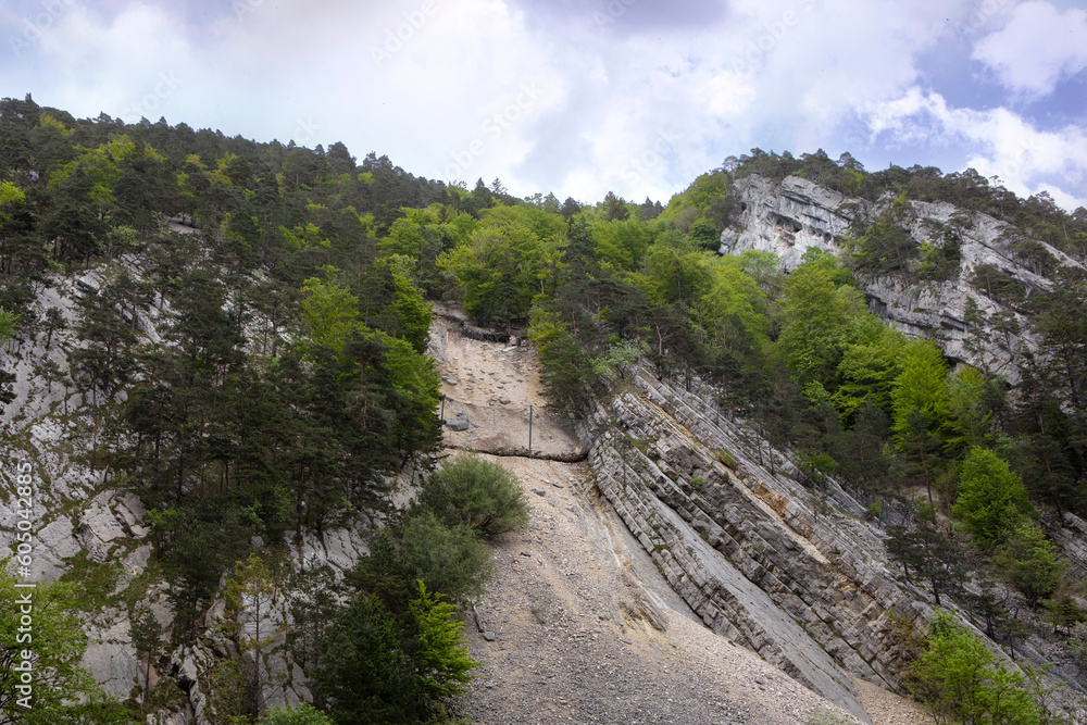 Jura mountains swiss landscape. Mountain steep slope with vibrant green trees and rockslide with wire protection against stones fall.