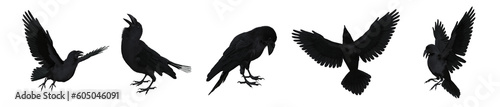 Collection of black Raven or Crow birds. Isolated 3D illustration