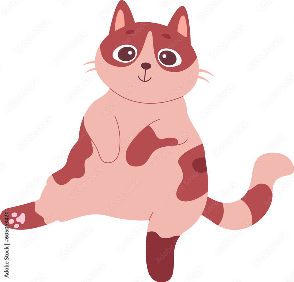 Obraz premium Sitting Cat Pet