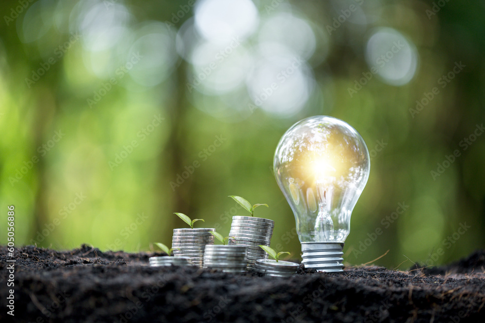 Idea of renewable energy and energy saving. Energy saving light bulb and tree growing on stacks of coins on nature background. Saving, accounting and financial concept. - obrazy, fototapety, plakaty 