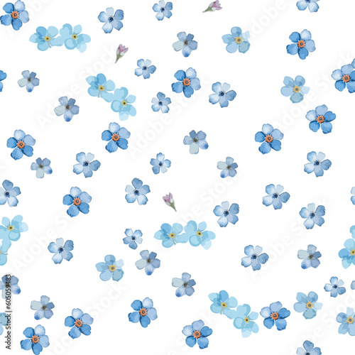 A seamless forget-me-not background. Vector illustration