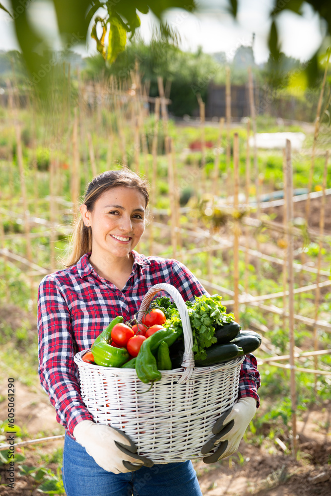 Fototapeta premium Satisfied young Hispanic woman engaged in cultivation of organic vegetables in her small garden showing good harvest