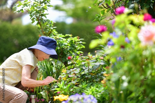 ガーデニング・花の庭の手入れをしている女性