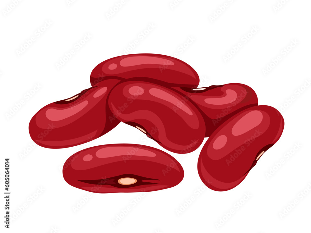 Vector illustration, red bean or Phaseolus vulgaris, isolated on white background. Vector illustration, red bean or Phaseolus vulgaris, isolated on white background.