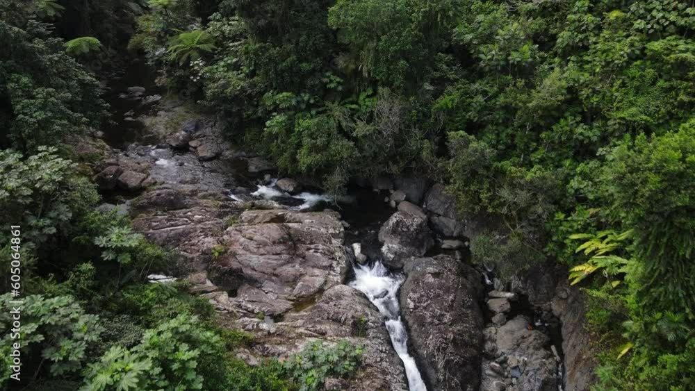 Falls and pool below La Mina Falls in the El Yunque rain forest in the Caribbean National Forest, Puerto Rico Falls and pool below La Mina Falls in the El Yunque rain forest in the Caribbean National Forest, Puerto Rico
