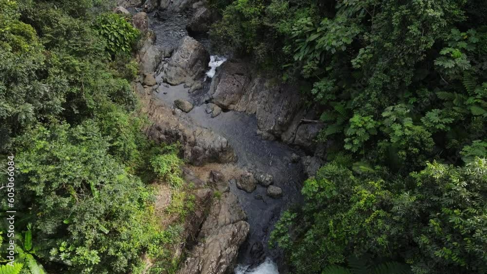 Falls and pool below La Mina Falls in the El Yunque rain forest in the Caribbean National Forest, Puerto Rico Falls and pool below La Mina Falls in the El Yunque rain forest in the Caribbean National Forest, Puerto Rico
