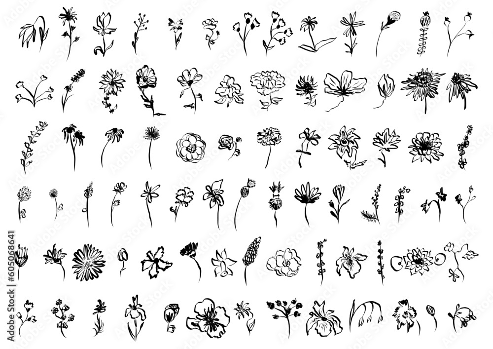 Sketch drawing flower collection. Big set artistic ink brush drawn small flowers. Rose, chamomile, narcissus, lily and other different wild, exotic plants. Field, meadow, tropical vector illustration Sketch drawing flower collection. Big set artistic ink brush drawn small flowers. Rose, chamomile, narcissus, lily and other different wild, exotic plants. Field, meadow, tropical vector illustration