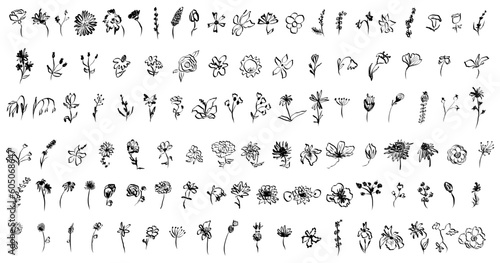 Sketch drawing flower collection. Big set artistic ink brush drawn small flowers. Rose, chamomile, narcissus, lily and other different wild, exotic plants. Field, meadow, tropical vector illustration