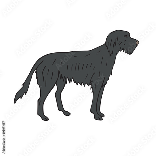 Vector hand drawn doodle sketch colored wolfhound dog isolated on white background © Sweta