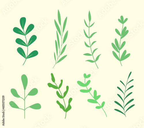 vector nature spring flat leaf collection. Set of different tropical and other isolated green leaves.