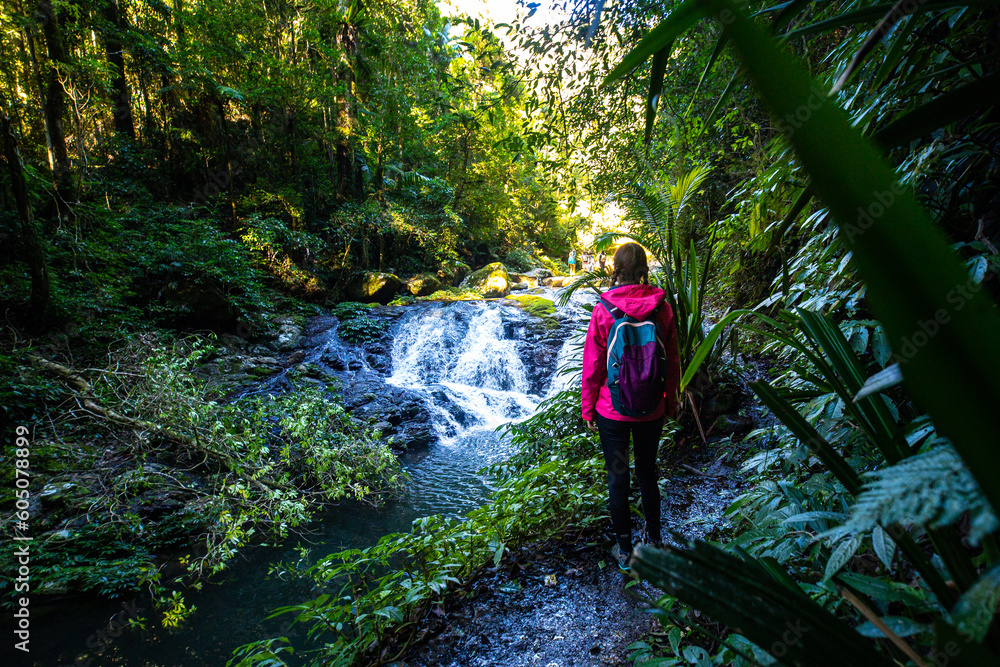 Obraz premium Girl in a pink jacket sits and admires unique, beautiful waterfall on Canungra Creek Circuit trail, Lamington National Park (O'Reilly's), Gold Coast, Queensland, Australia