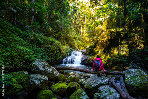 Wall Mural Girl in a pink jacket sits and admires unique, beautiful waterfall on Canungra C