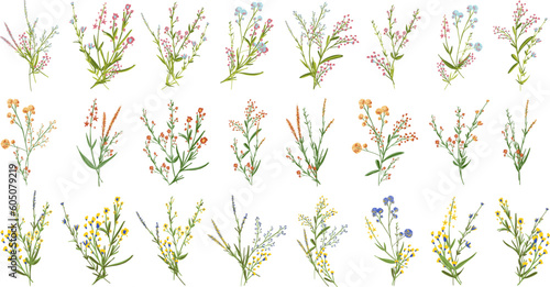 Botanical blossom floral elements. Big set small hand drawing branches, leaves, herbs, wild plants, flowers. Garden, meadow, field plants collection. Bloom bouquets vector illustration