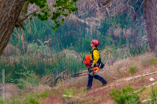 Wildland firefighters engaged in suppression operations at a vegetation fire