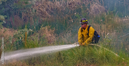 Wildland firefighters engaged in suppression operations at a vegetation fire