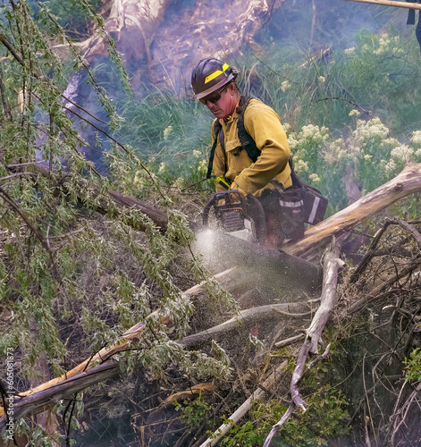 Wildland firefighters engaged in suppression operations at a vegetation fire