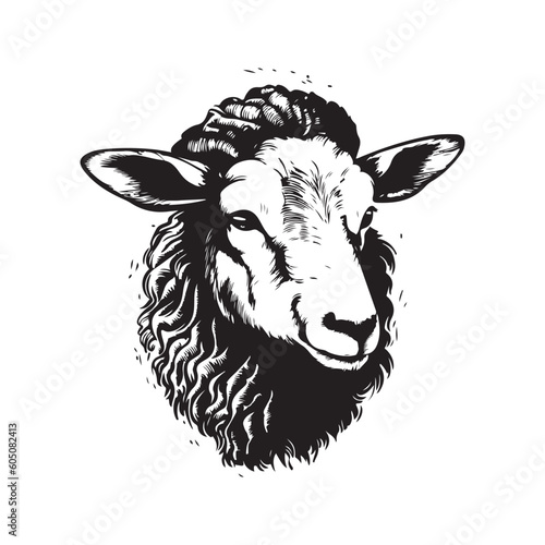 lamb, vintage logo line art concept black and white color, hand drawn illustration