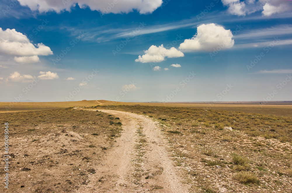 Serengeti Trails and open blue skies over endless grass plains at Serengeti National Park, Tanzania