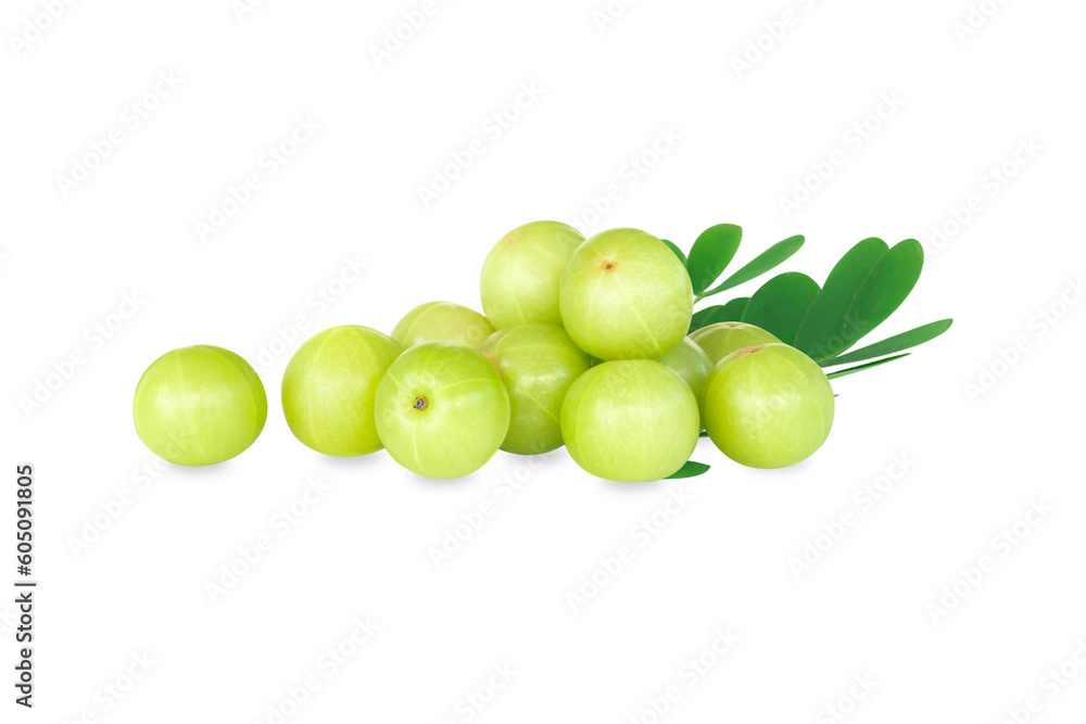 Fresh indian gooseberry isolated on white background, herb and medical fruit for health care concept Fresh indian gooseberry isolated on white background, herb and medical fruit for health care concept