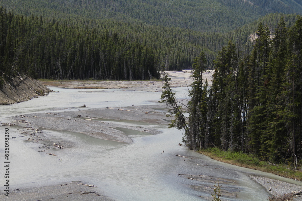 river in the forest, Banff National Park, Alberta river in the forest, Banff National Park, Alberta