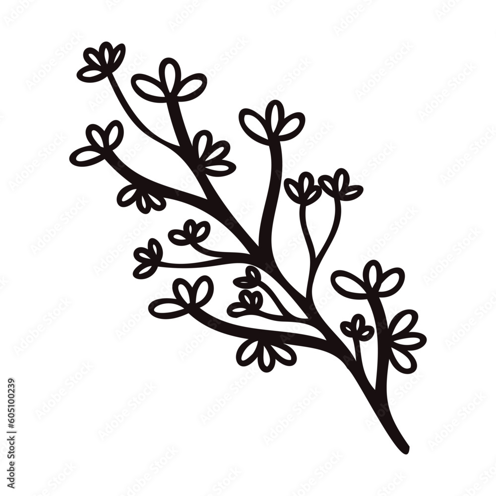 Hand Drawn leaves and twigs from the top view in doodle style Hand Drawn leaves and twigs from the top view in doodle style