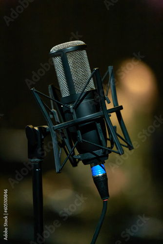 studio condenser microphone on a microphone stand