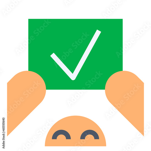 correctness flat style icon