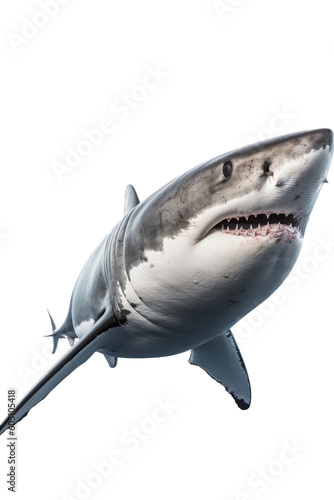 a Great White Shark, swimming, 3/4 view, Aquatic-themed, horizontal format, photorealistic illustrations on a transparent background cutout in PNG. Generative ai