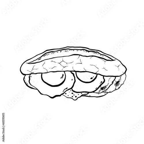 Bahn Mi. Vietnamese sandwich with egg. Hand drawn vector illustration eps 10