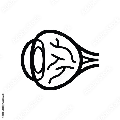 Eyeball vector icon
