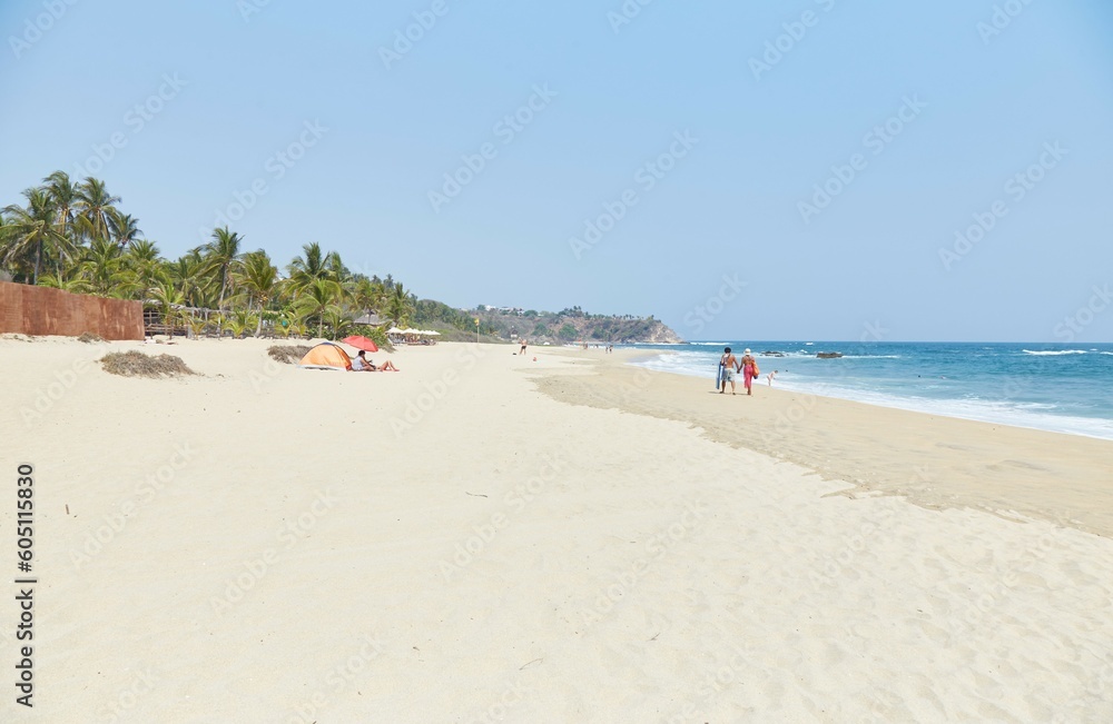 Fototapeta premium Experiencing a baby turtle release in Puerto Escondido, Oaxaca, Mexico