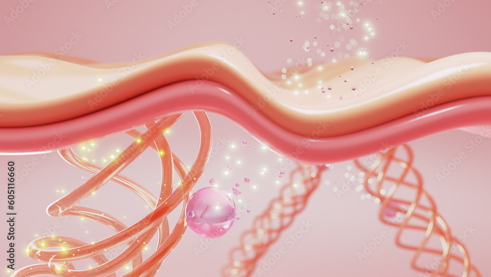 Fototapeta premium Pink collagen serum drop through skin cell to enhancing and repair collagen and elastin, return youth to face skin. 3D rendering.