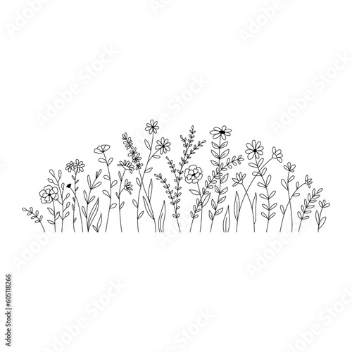 Vector wild herbs and flowers doodle illustration. Field with grass and wildflowers isolated on white background