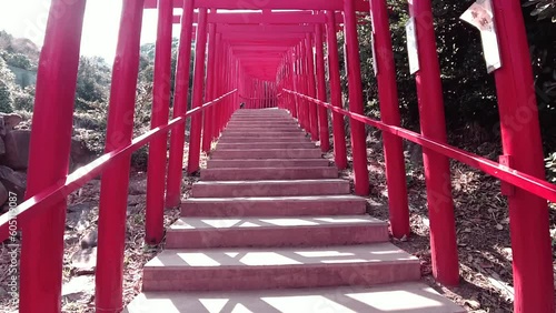 元乃隅神社の鳥居をくぐる