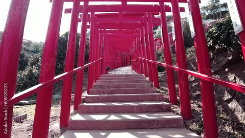 元乃隅神社の鳥居をくぐる