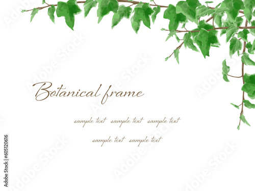 アイビーの葉が綺麗なナチュラルなボタニカルフレーム背景イラスト