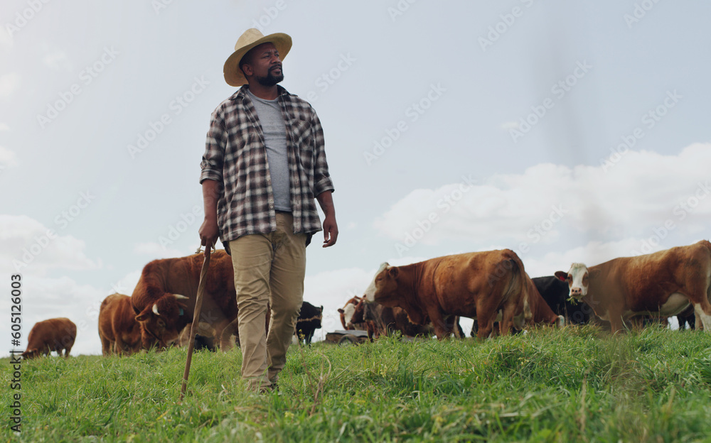 Agriculture, cow and black man thinking on farm, walking with stick and farming mockup. Land, cattle and African male farmer with livestock eating on grass field for milk, beef and meat production. - obrazy, fototapety, plakaty 