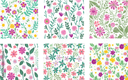 Spring Flowers Color vector set