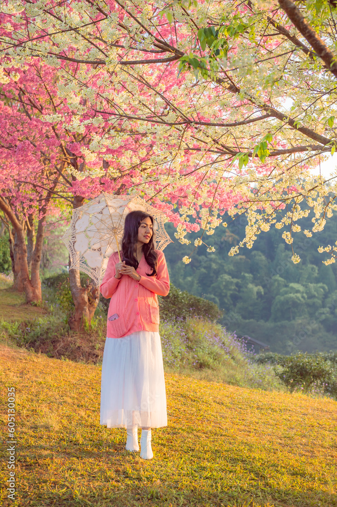 sakura flower and landscape sakura flower and landscape