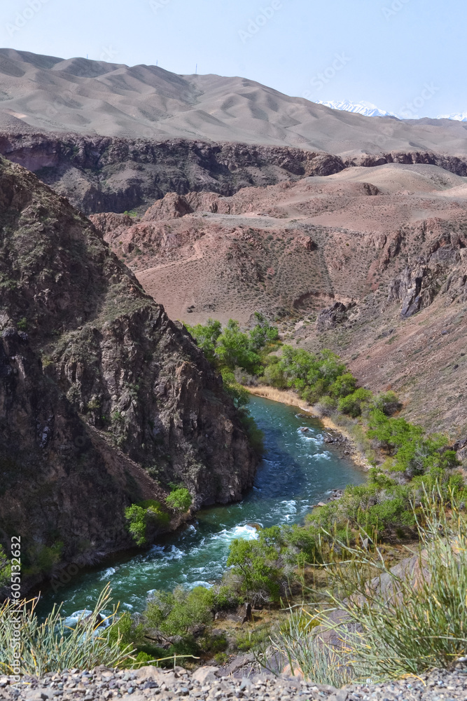 High mountains with snow and blue sky are visible in the background, near the border with China, Black Canyon, Kazakhstan. High hills and a lot of grass along with stones with the river near downhill