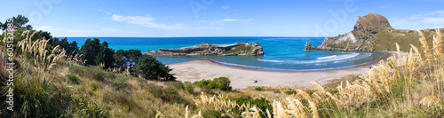 Castlepoint beach panoramic landscape, North Island, New Zealand