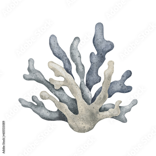 Marine blue grey coral branch. Coral Reef animal. Underwater polyp. Hand drawn watercolor illustration for print design, card, sticker, pack photo