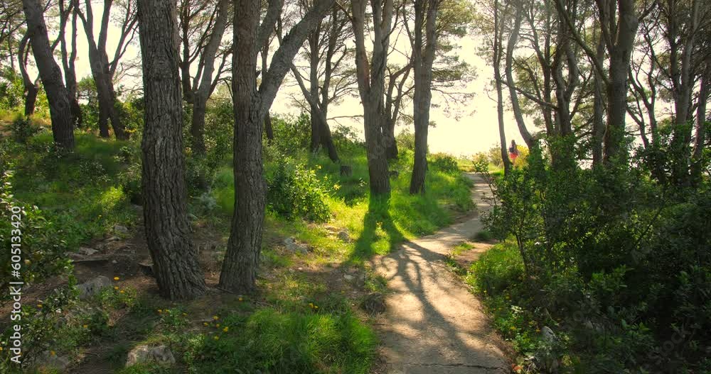 Pathway On A Sunny Day In The Philosophical Park Near Anacapri In The Island of Capri, Italy. Wide Shot Pathway On A Sunny Day In The Philosophical Park Near Anacapri In The Island of Capri, Italy. Wide Shot