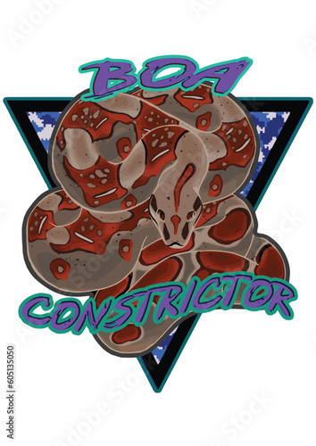 Boa Constrictor Snake