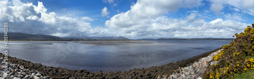 Cambuscurrie Bay, Dornoch firth bridge, Scotland, clouds, broom, river, panorama, rivermouth, 