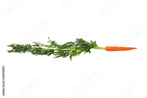 Carrot vegetable isolated on white background, PNG
